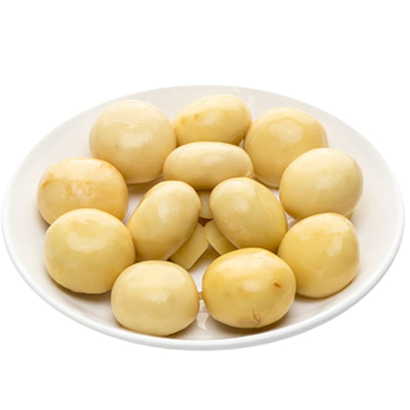 Canned Whole Mushroom with OEM Brand