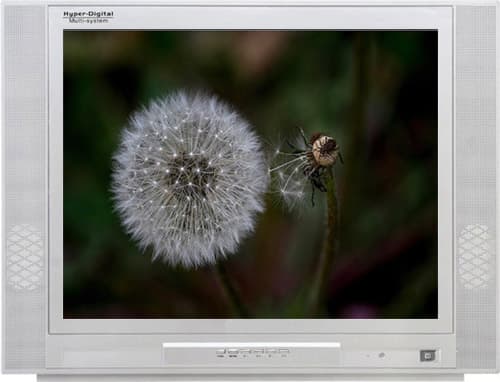 34 Inch Color CRT TV (GFL05)