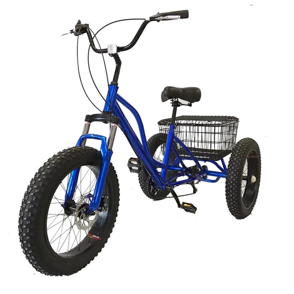 Adult Tricycle 1