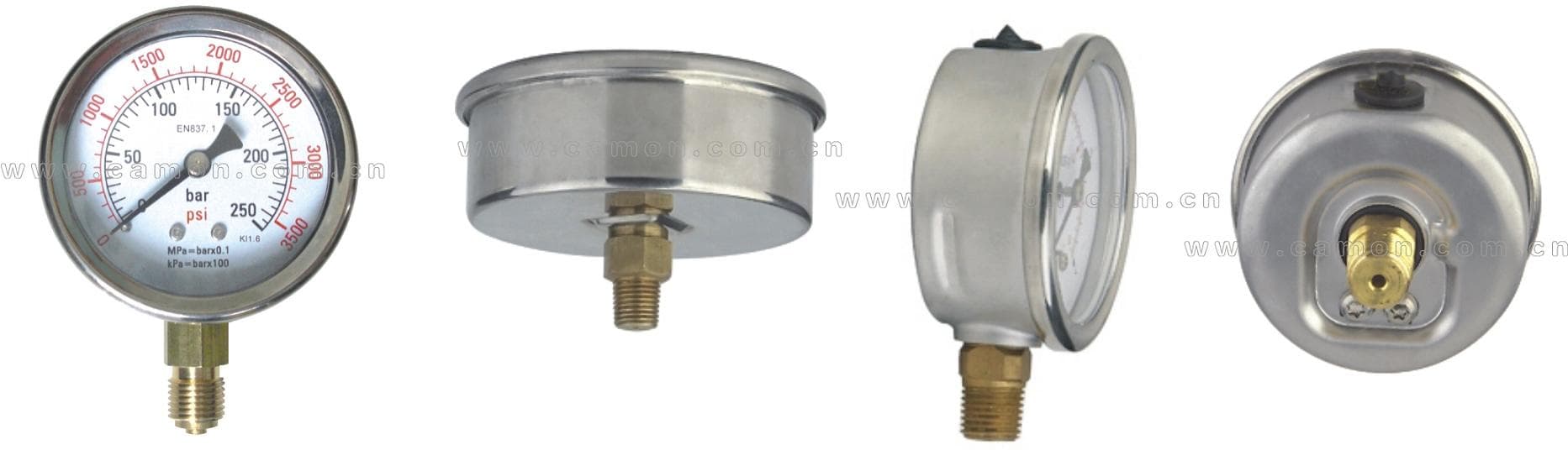 Glycerine Fillable Pressure Gauge