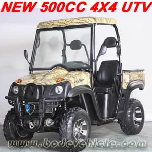 500CC 4X4 UTV (MC-161)