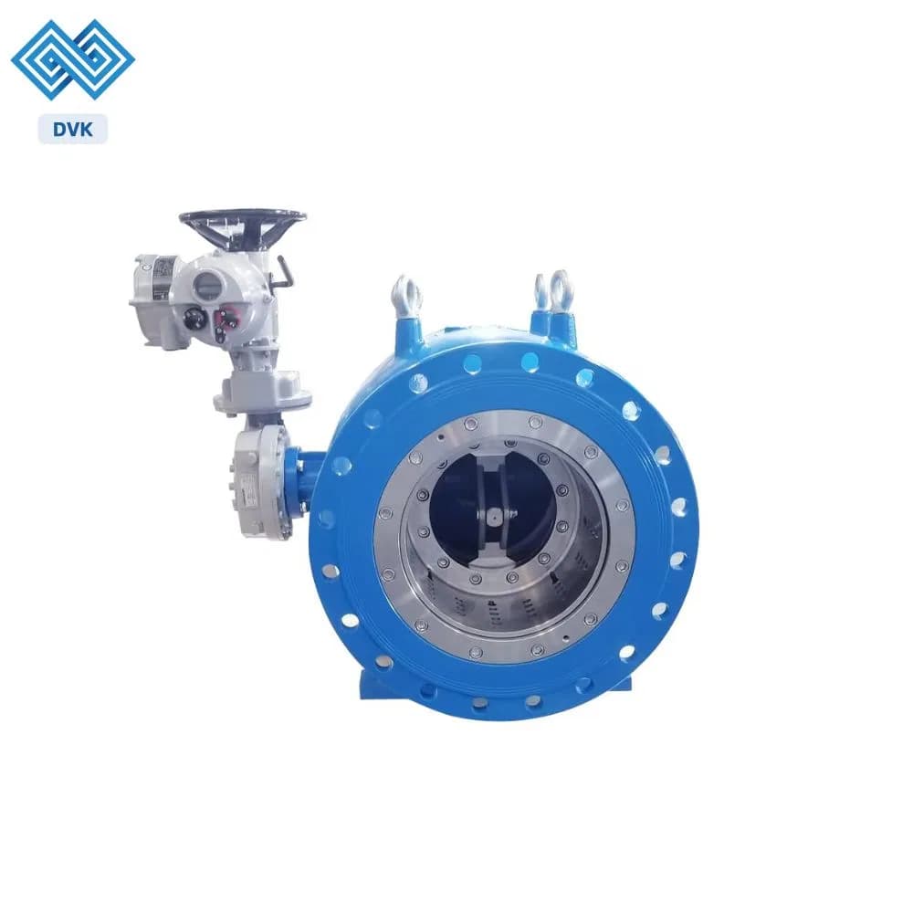 Carton Steel/Ductile Iron Plunger Valve
