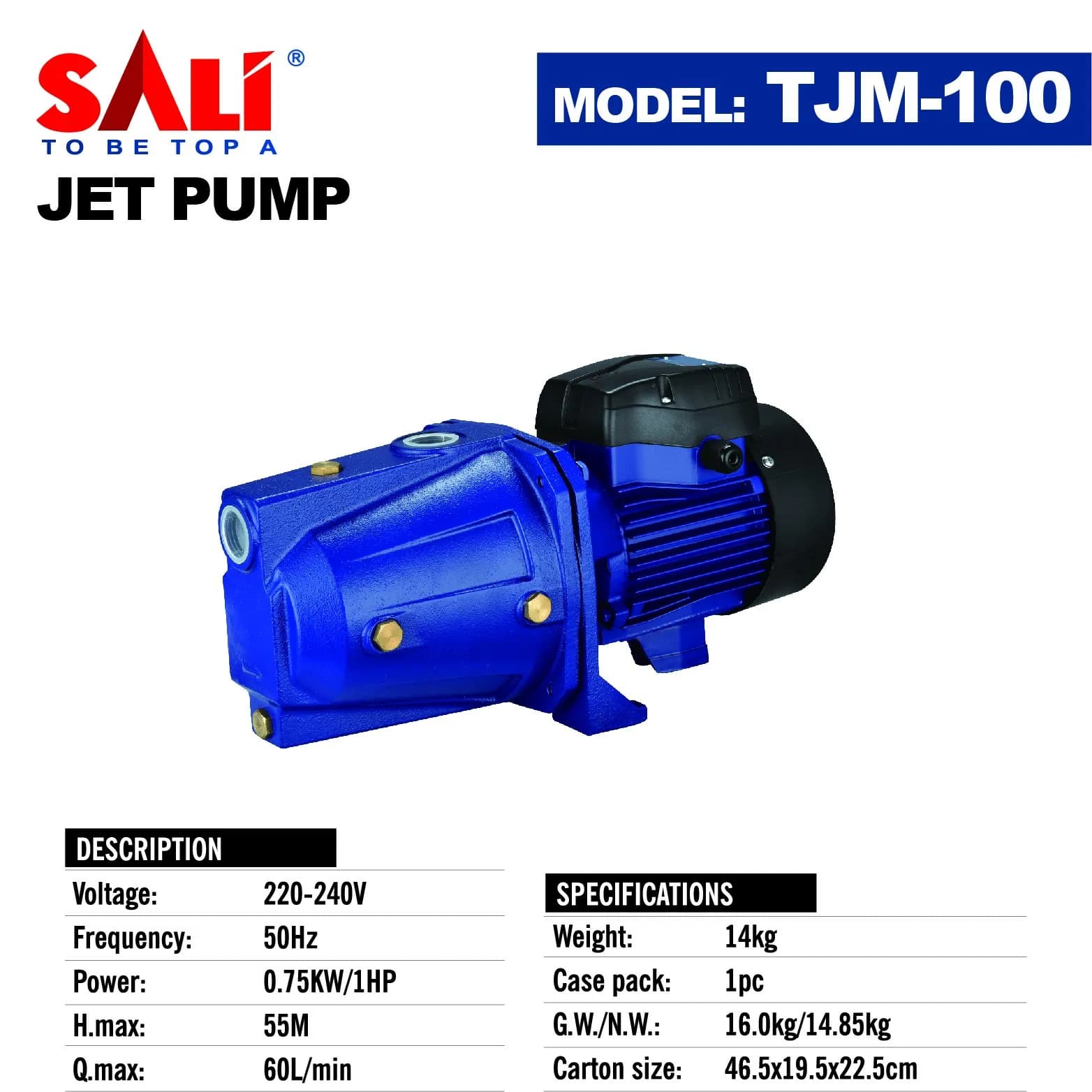 Sali TJM-100 750W 1.0HP Jet Pump