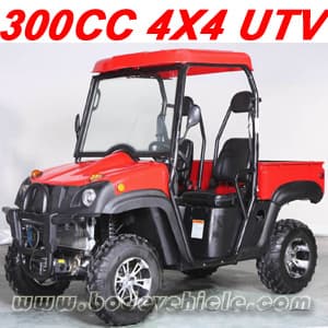 300CC 4X4 UTV (MC-150)