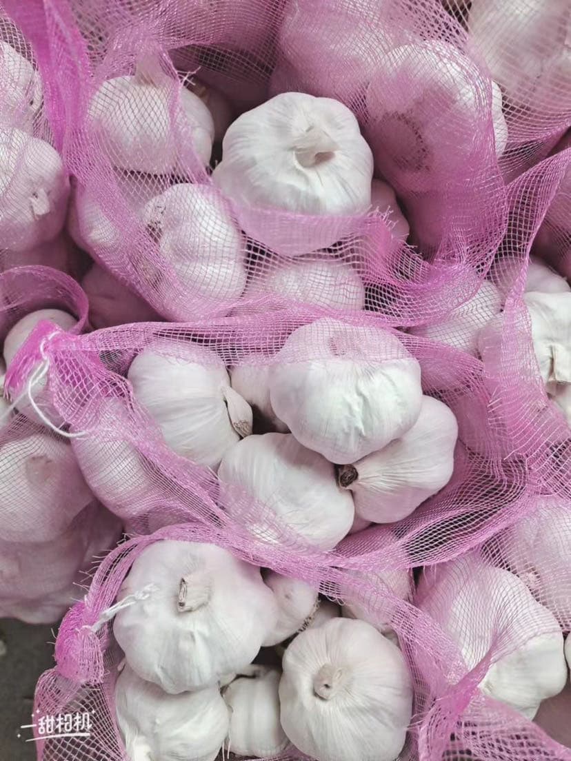 Pure White Garlic