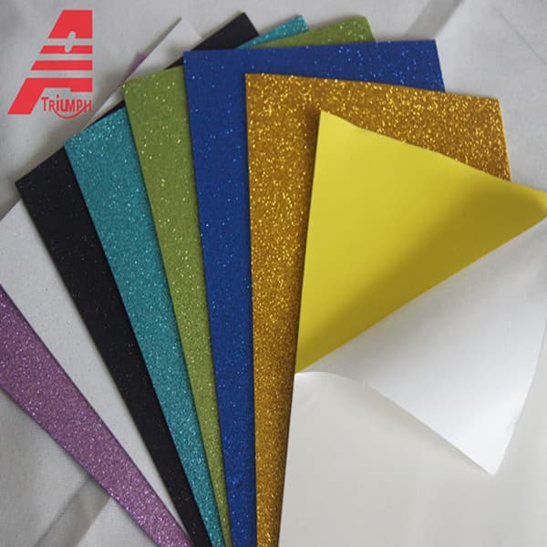 High Quality EVA Foamy Crafts (EVS0812)