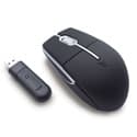 Wireless Mouse (HM8006)