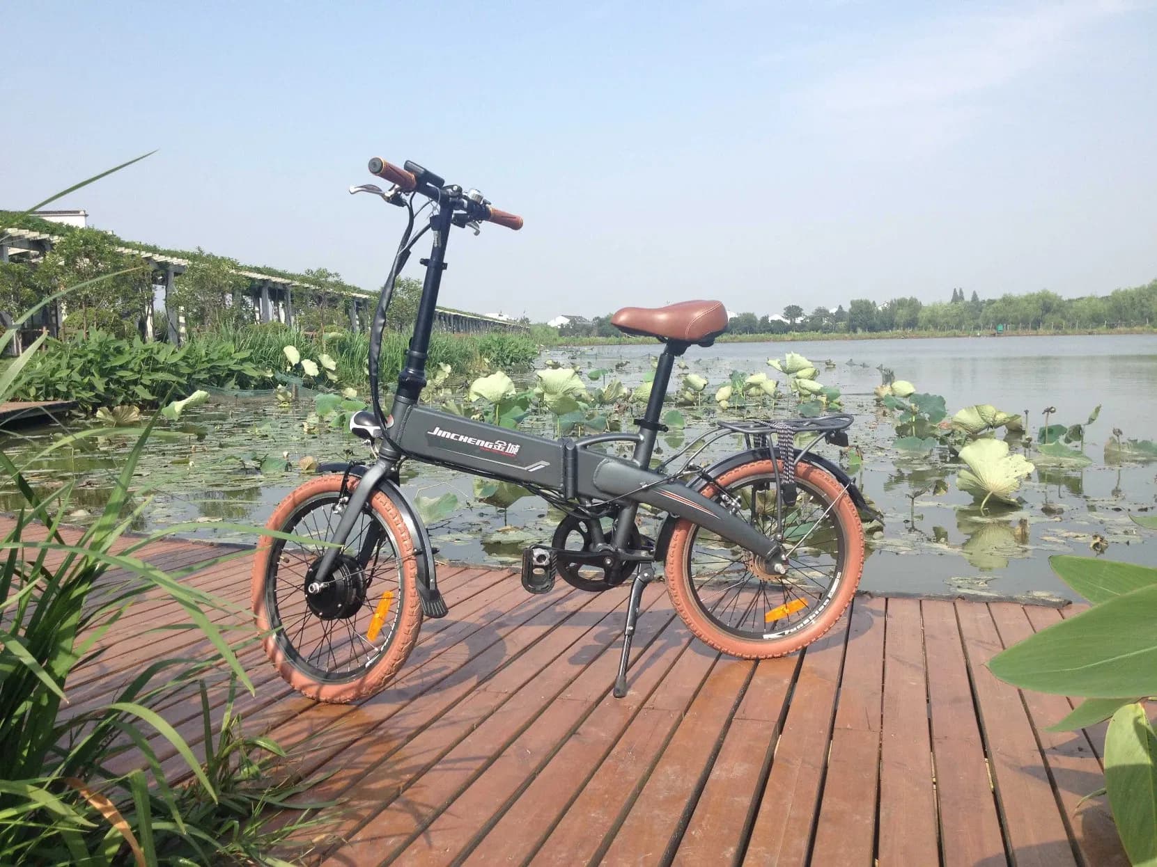 20inch Folding E Bike