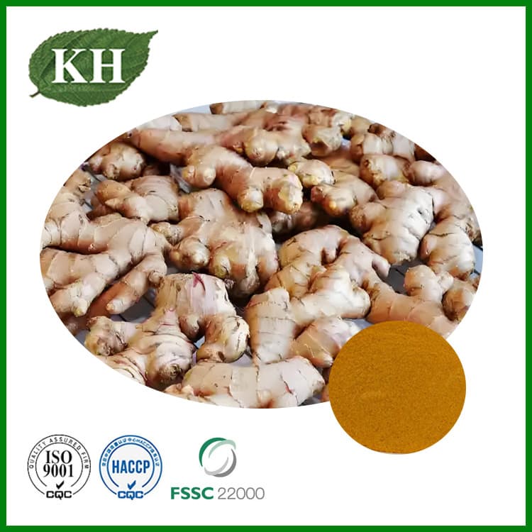 Ginger Extract - Gingerols 100% Natural