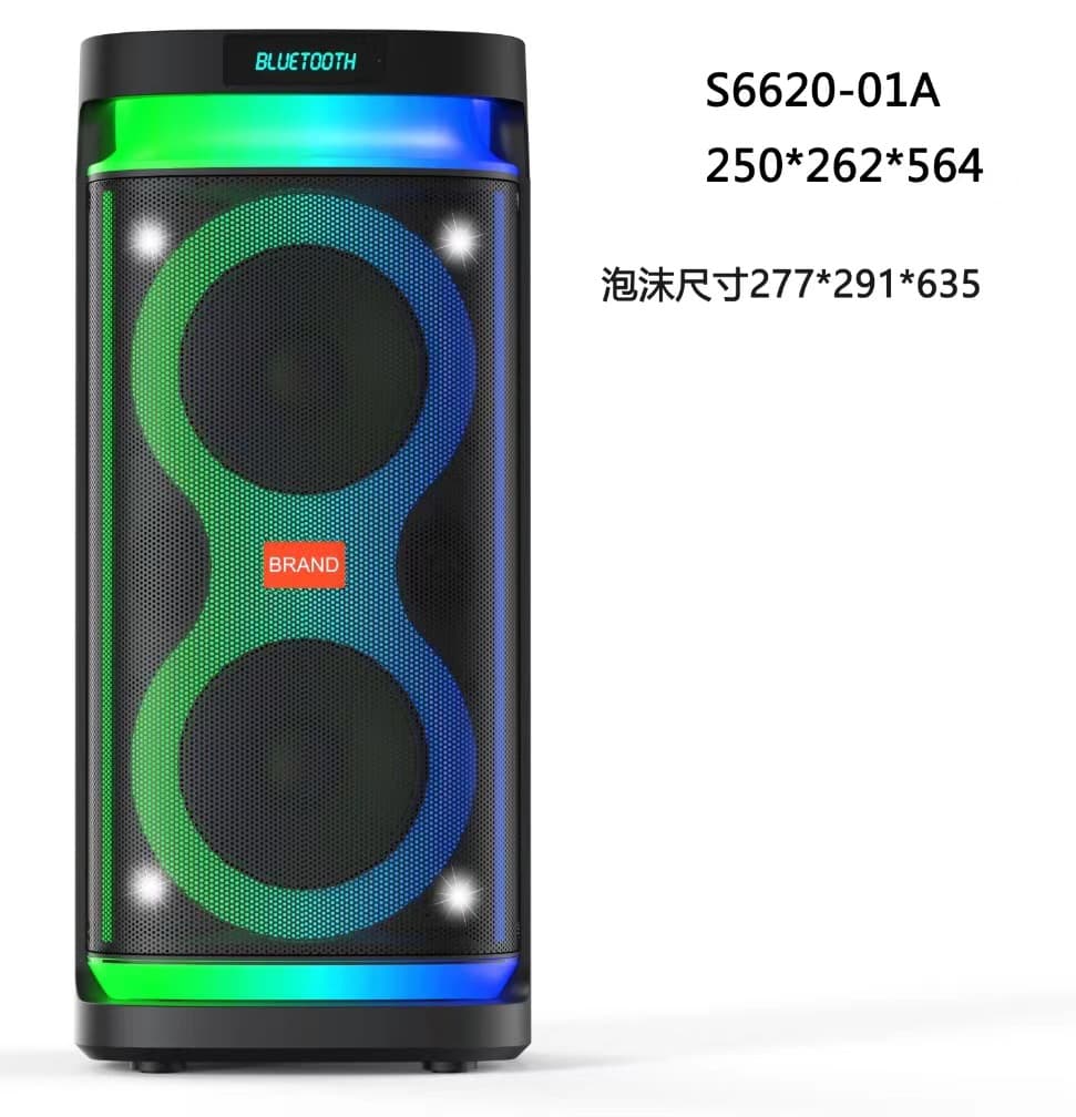 Dual 6" Karaoke Speaker 2606