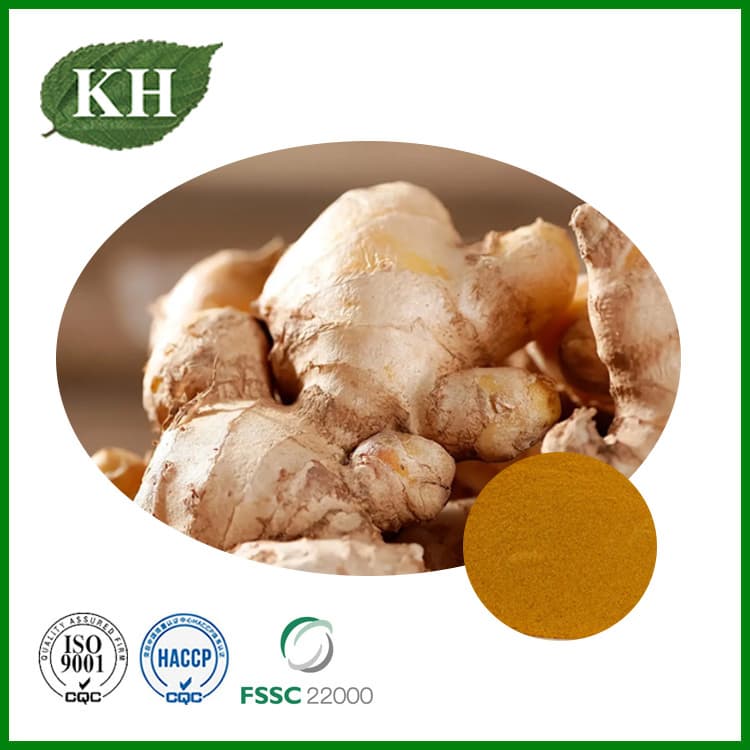 Ginger Extract Ginger Oleoresin Gingerols