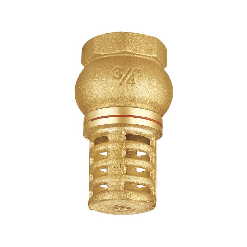 DN15 to DN 100 Brass Stem Pump Foot Valve