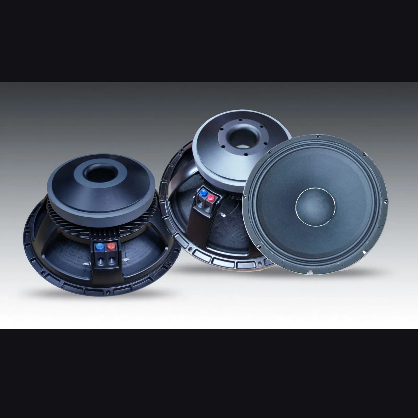 PA Car Audio Professional Speaker