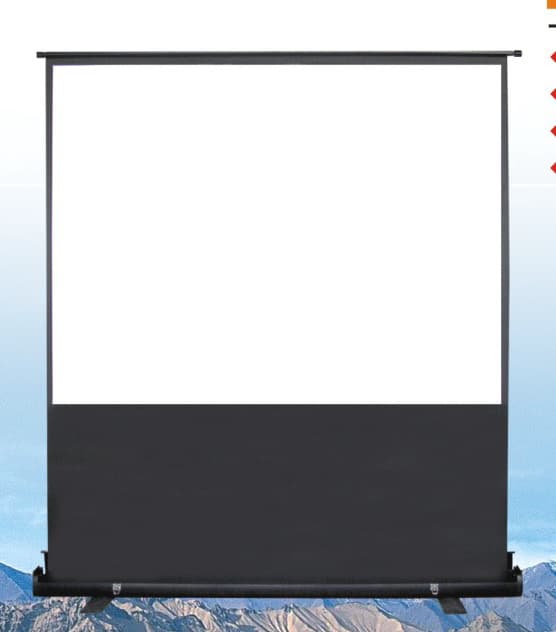 Portable Screen