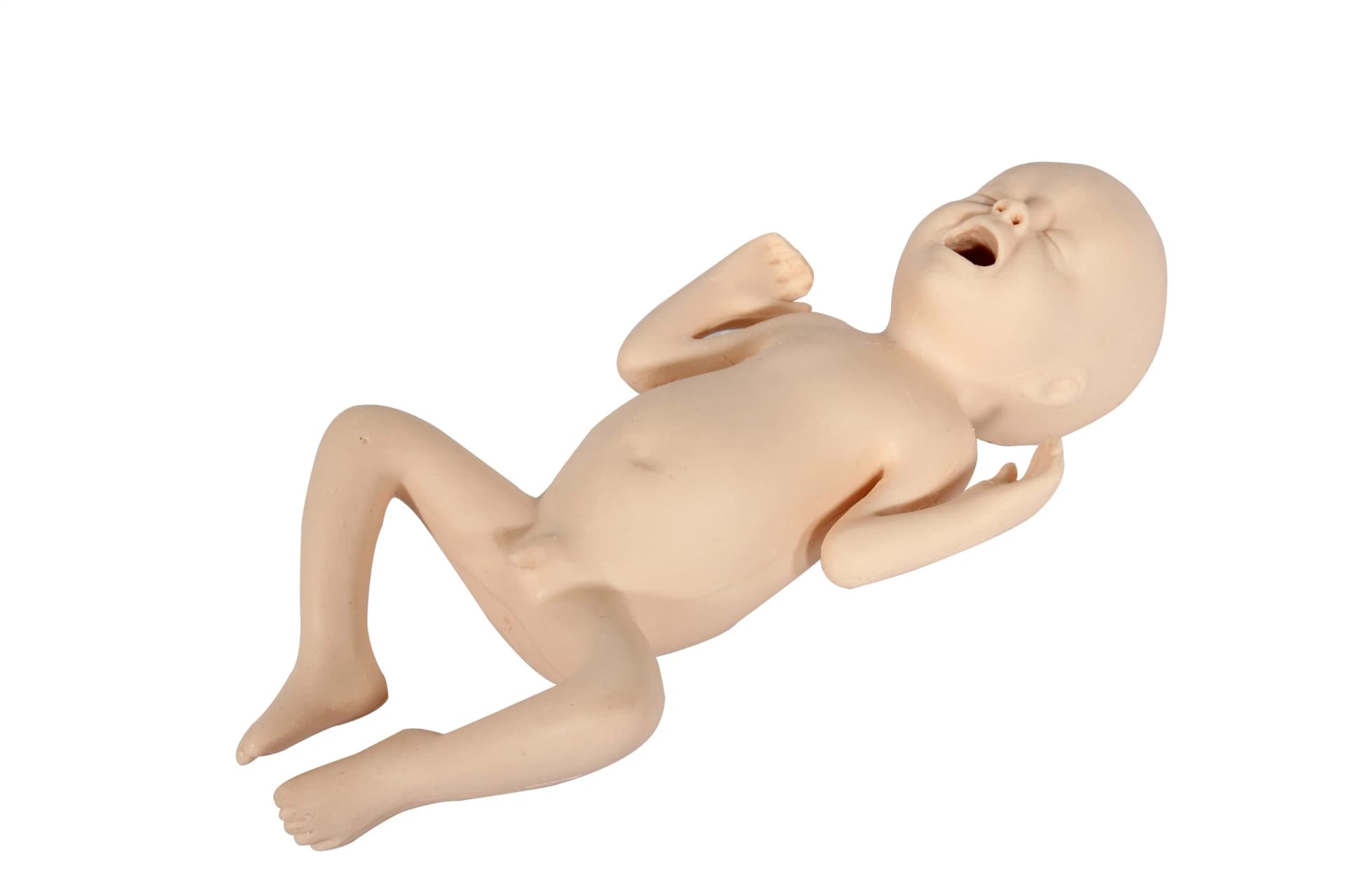 Premature Infant Model-24 Weeks