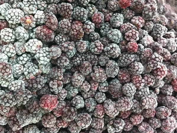 Export Quality IQF Frozen Blackberry
