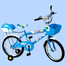 Baby Carrier