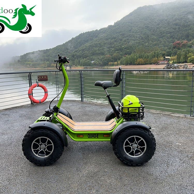 4 Wheel Electric Scooter