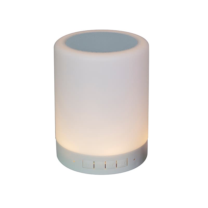 671 Lamp Speaker