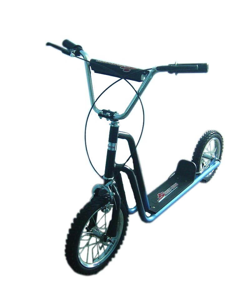 2 Wheels Kick Scooter (GS-003C)