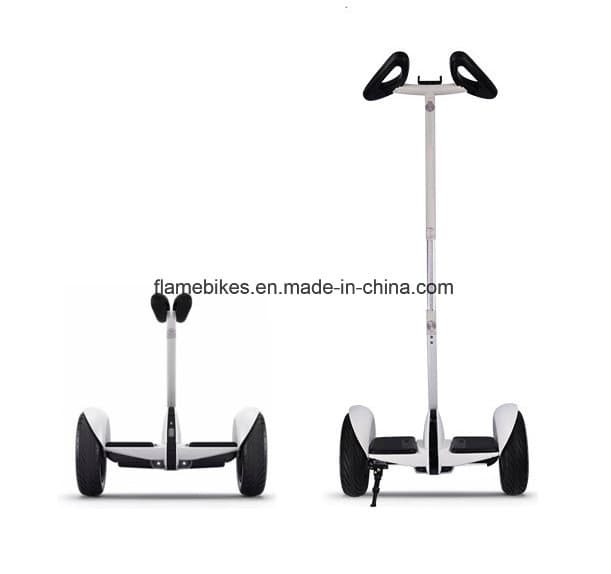 Ninebot Electric Biccyle with Handler Bar