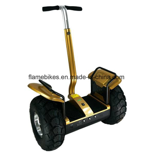 1000W off Road Electric Motorcycle with 96V