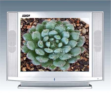 15 Inch Color TV (GFL01)