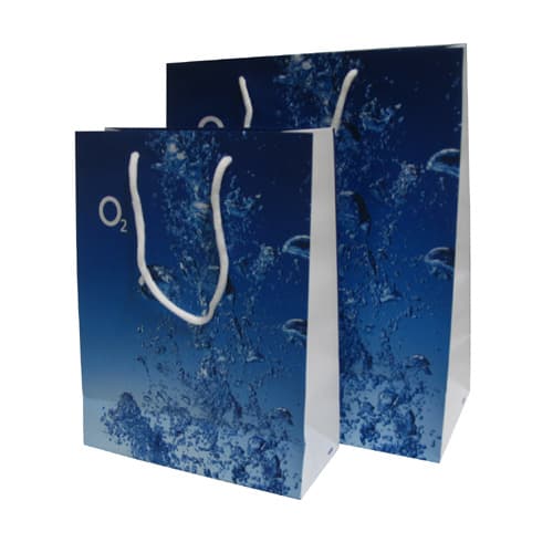 Paper Shopping Bag (LC-PABA-117)