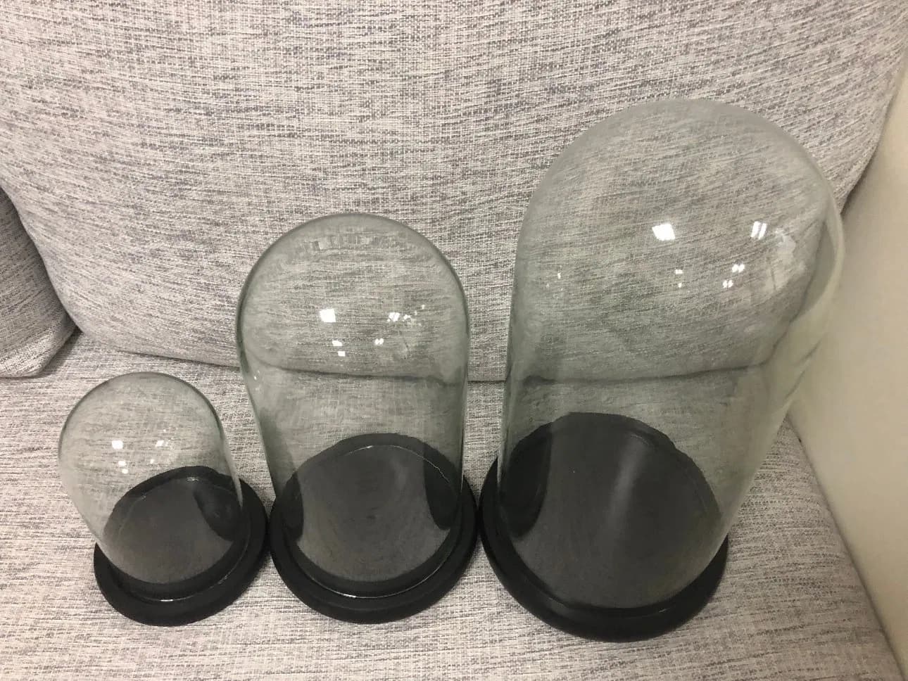 Bell Jar with Wooden Base
