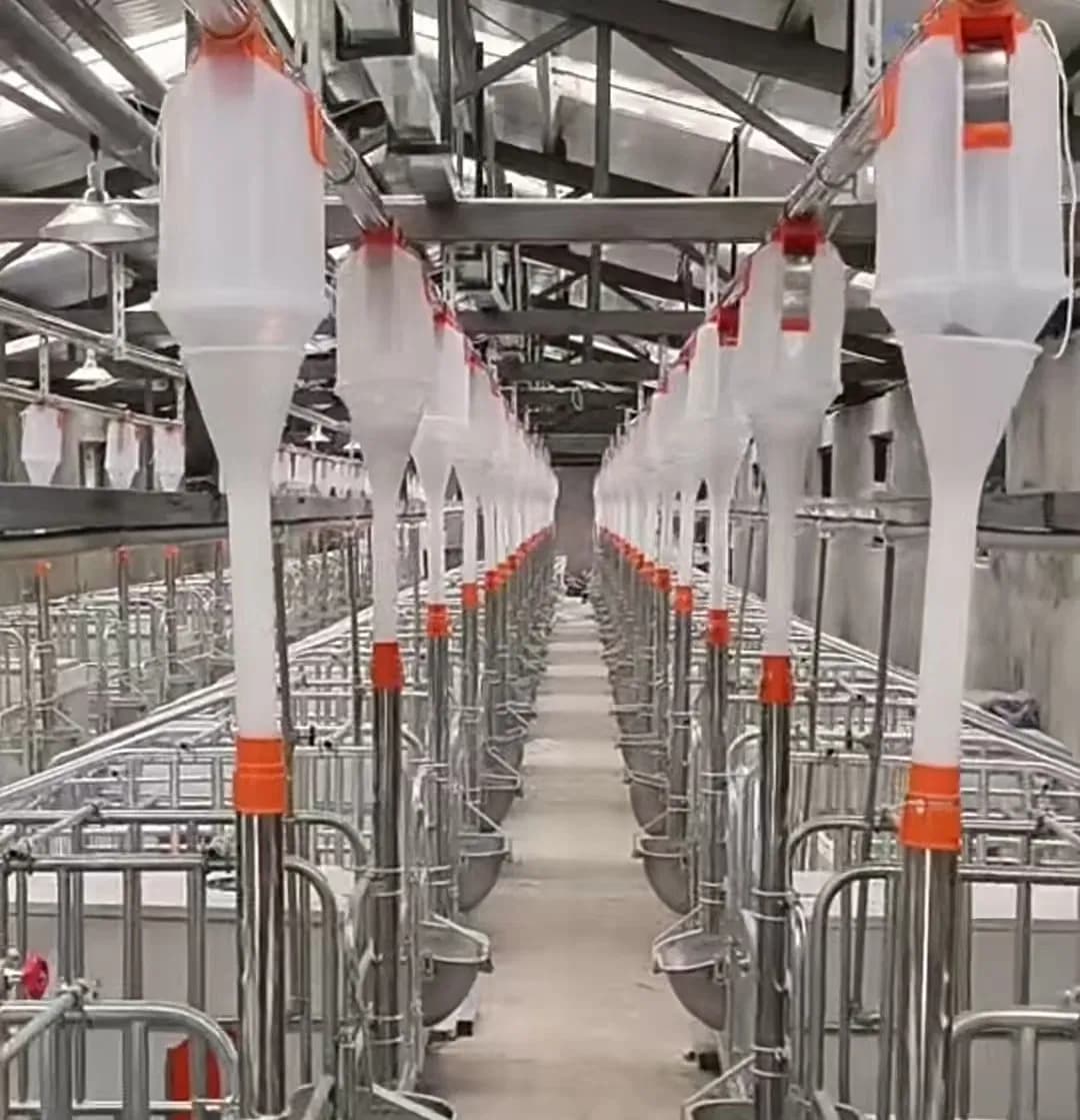 Pig Farming Feed Line/Pig Feed Line