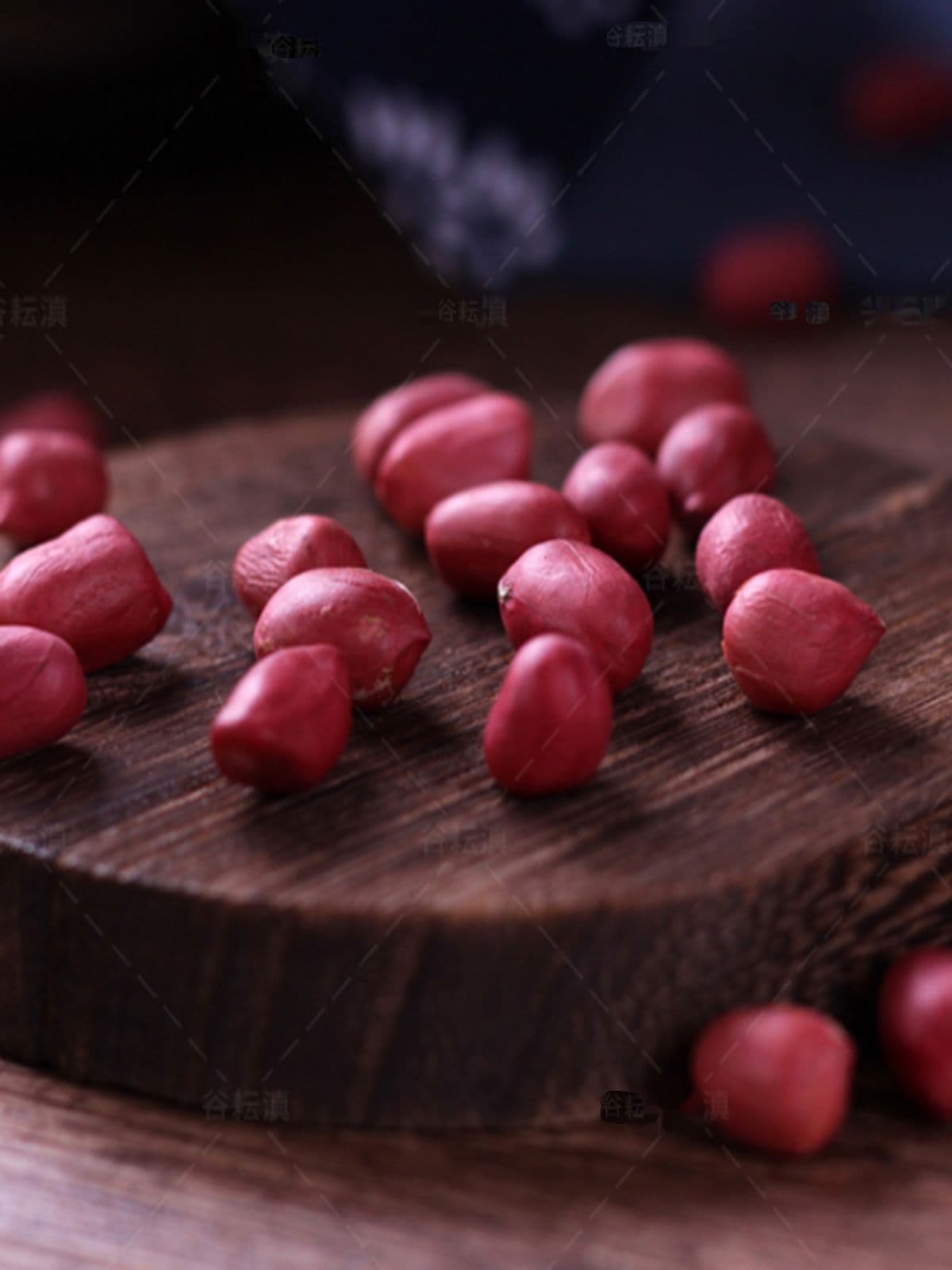 Fried & Salted Peanuts with High Quality