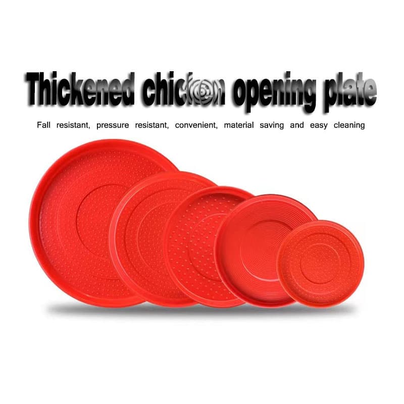 Chick Feeder for Brooder Chicks