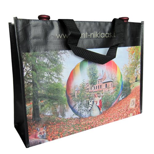 Shopping Bag (LC-PPWB-069)