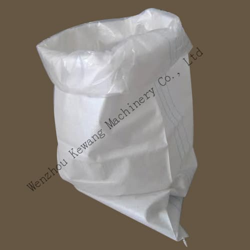 PP Woven Bag with PE Liner