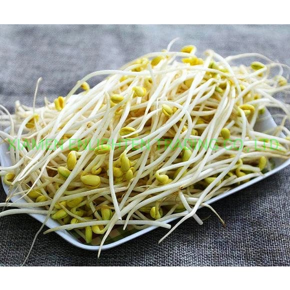Ready to Eat Bean Sprouts in Can
