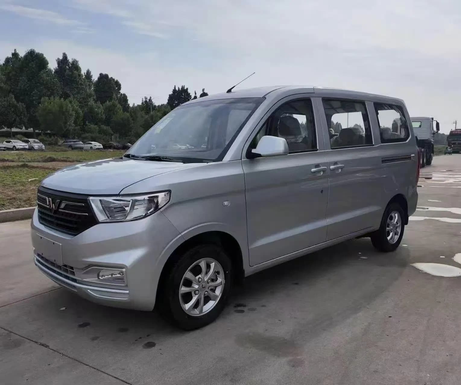 Family Passenger Mini Van for Sale