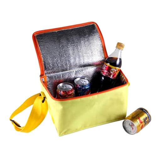 Outdoor Cooler Bag (WY81211)