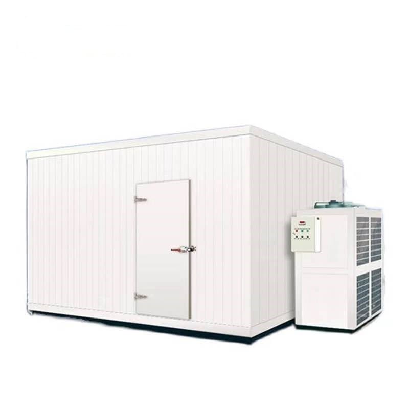 Cold Storage Room Door/Stainless Steel Sliding Door with Low Price
