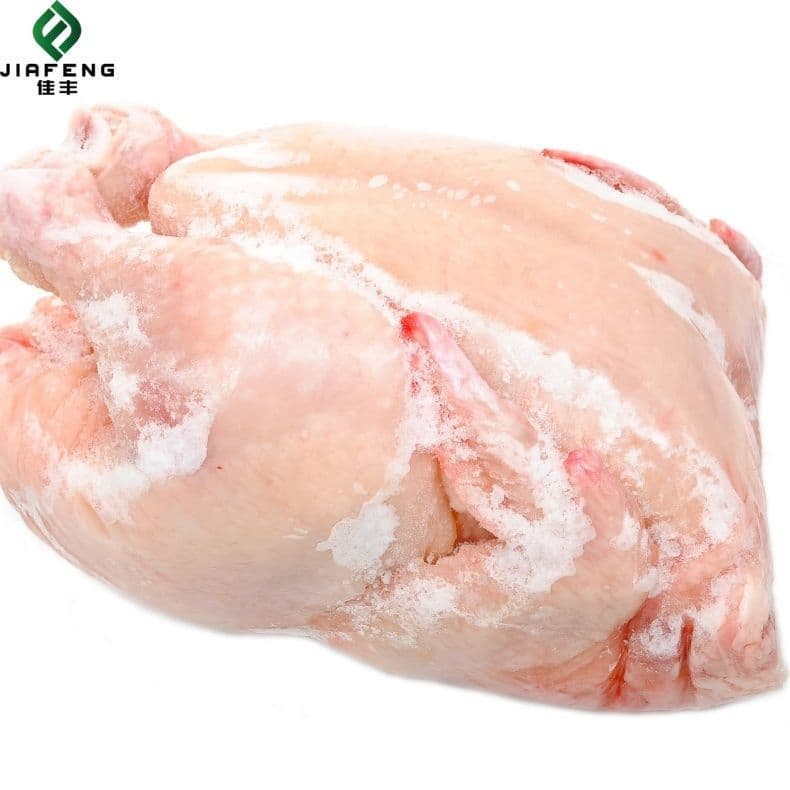 Frozen Halal Whole Chicken Griller with Best Quality Wholesale
