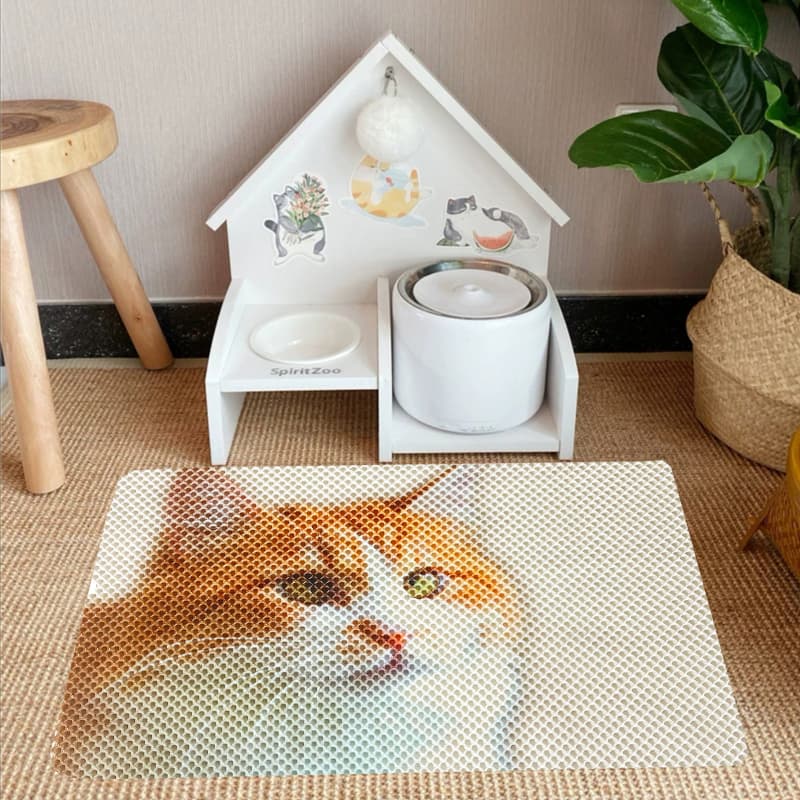 Large Waterproof Cat Litter Mat for Easy Cleanup