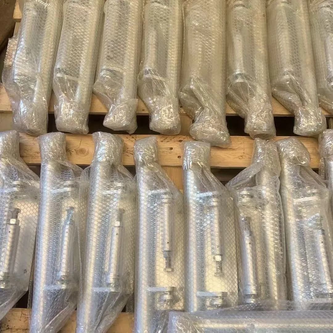 China Galvanized Spring Housing Self-Closing Gate Hinge
