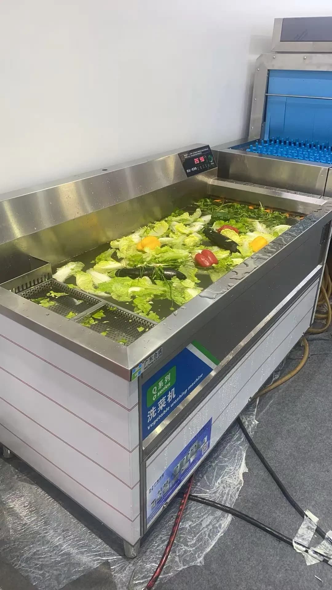 Small Commercial Fruit Washing Machine Cleaning Cabbage Carrot Air Bubbles Vegetable Washer Equipment