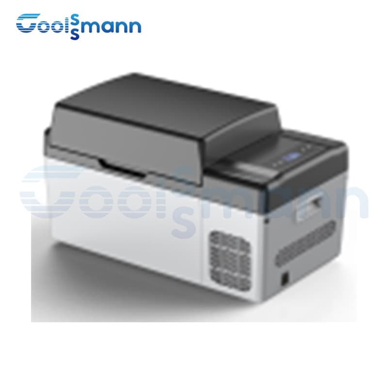 Wholesale Portable Compressor Car Refrigerator Multi Capacity Car Fridge