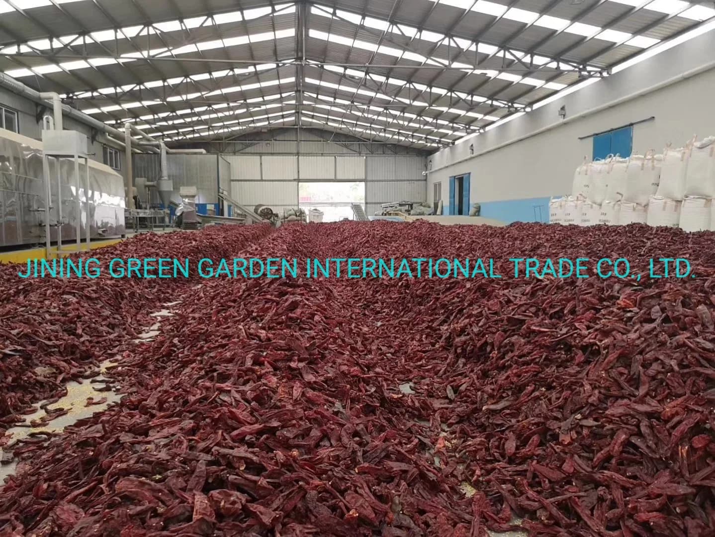 Hot Crushed Chili Powder, Hot Chili Ring, Hot Chili Flakes, Hot Chili Granules, Hot Chili Crushed, From Shu 3000 to Shu 50000; Paprika Powder Asta60-220.