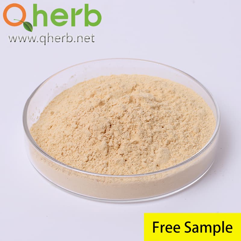 Natural 80% Ginsenosides UV Ginseng Leaf Extract Powder Immune-Enhancing in Functional Food