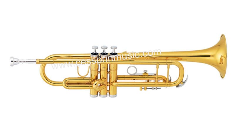 Hot Sale/Trumpet/ Popular Model/ Trumpet Manufacturer /Cessprin Music/ (CPT004)