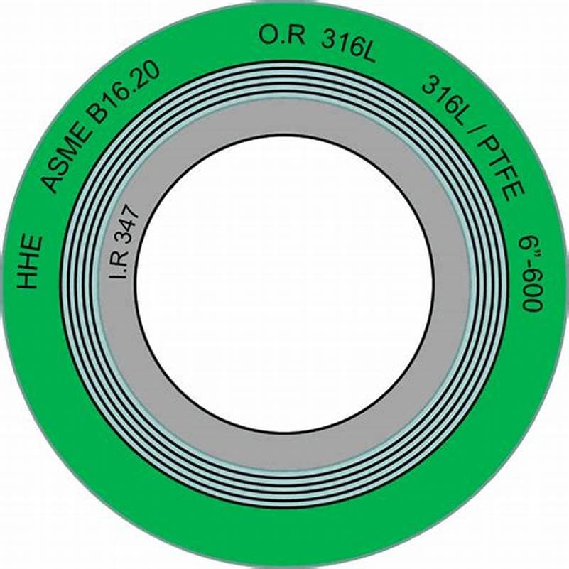 Spiral Wound Gasket Ss316 Graphite with CS Outer Ring Material Gaskets