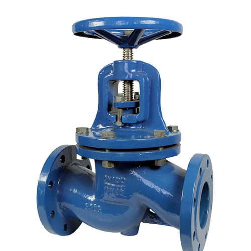 Premium Cast Iron DN100 Globe Valve with Bronze Trim