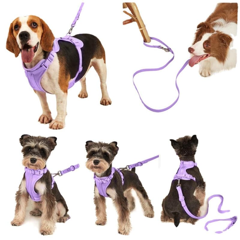 PVC Dog Harness Set Adjustable Collar Leash Vest Dog Harness Leash Set