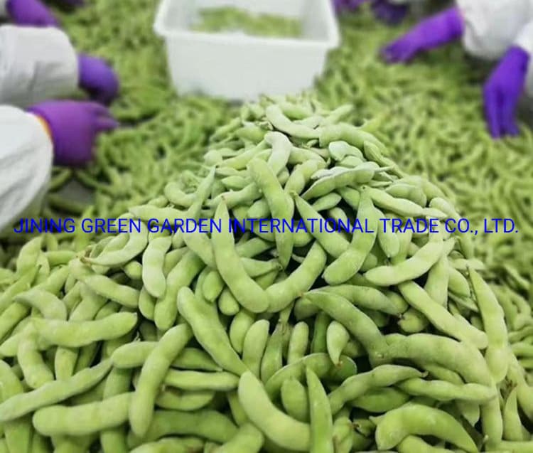 IQF Frozen Peeled Green Soy Bean, Wholesale Bulk Frozen Peeled Edamame Soybean Kernel IQF China Frozen Green Soya Beans with Good Price